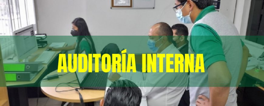 Auditoría interna
